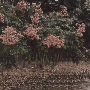 MarleyBrinx最惊艳的10个角色
