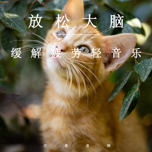 MarleyBrinx最惊艳的10个角色
